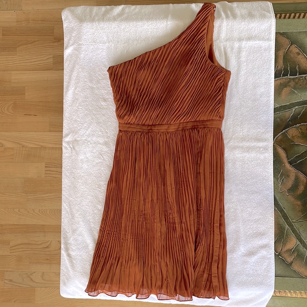 Club Monaco, Size 8, Rust
